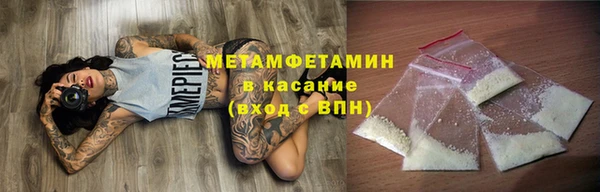 прущие грибы Покачи