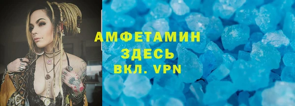 прущие грибы Покачи