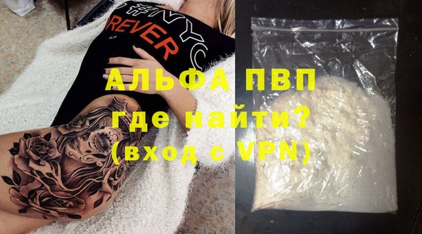 прущие грибы Покачи