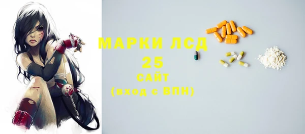 прущие грибы Покачи