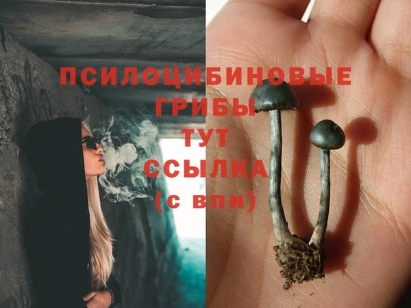 ешки Пролетарск