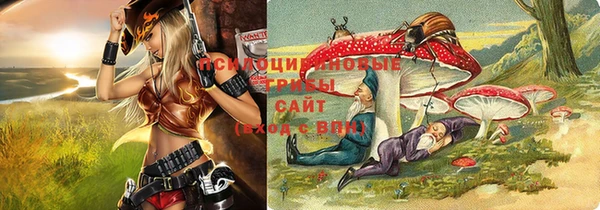 ешки Покров