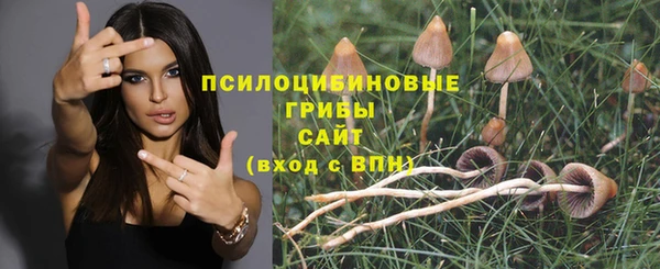 ешки Покров